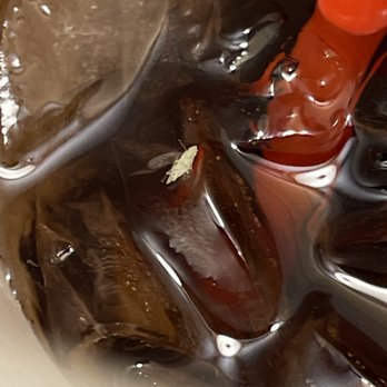 Rally's - Bug in our drink - Burgers Near Me - Clovis, California