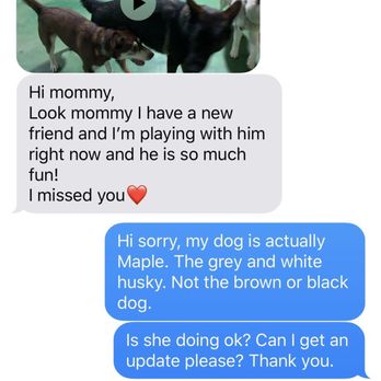 Barking Lodge Pet Resorts - The video I was sent of the wrong dog. Also would like to note the "mommy" thing is weird and unnecessary. - Pet Groomers Near Me - Fullerton, California