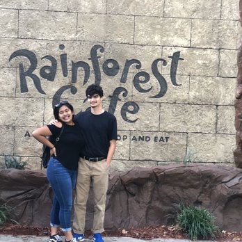 Rainforest Cafe - American Near Me - Ontario, California Rainforest Cafe - American Near Me - Ontario, California