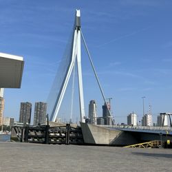 Cruise Terminal Rotterdam
