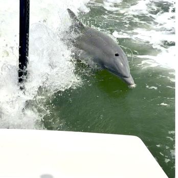 Endless Summer Charters - Boating Near Me - Fort Myers, Florida Endless Summer Charters - Boating Near Me - Fort Myers, Florida