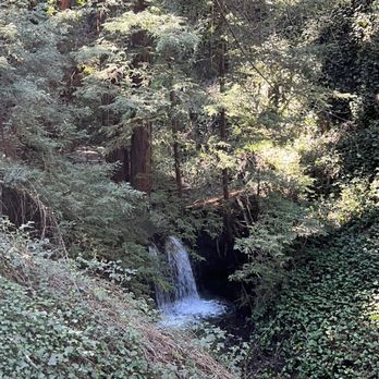 Joaquin Miller Park - Falls - Parks Near Me - Oakland, California