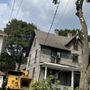 Photo of Mike's Tree Service & Landscaping
