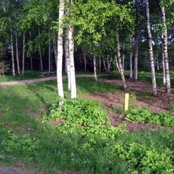 Lukupuron koirapuisto