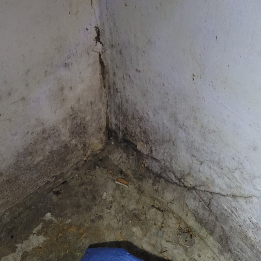 KELLY INSPECTION SERVICE Request a Quote 17 Photos Moberly