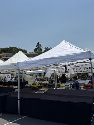 La Jolla Open Aire Farmers Market by null