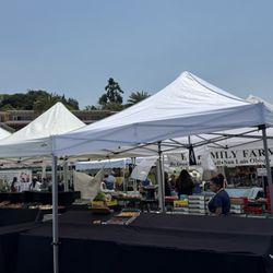 La Jolla Open Aire Farmer's Market