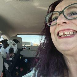 Meridian Canine Rescue - Otis from Meridian Canine Rescue on his way to his forever home
