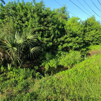 Discovery Excavation - Before - Tree Services Near Me Discovery Excavation - Before - Tree Services Near Me