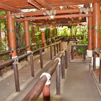 Jurassic World VelociCoaster - Amusement Parks Near Me - Orlando, Florida Jurassic World VelociCoaster - Amusement Parks Near Me - Orlando, Florida