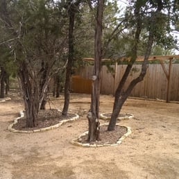 Trees before.