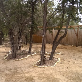 Better Price Tree Service - Trees before. - Tree Services Near Me - Pflugerville, Texas Better Price Tree Service - Trees before. - Tree Services Near Me - Pflugerville, Texas