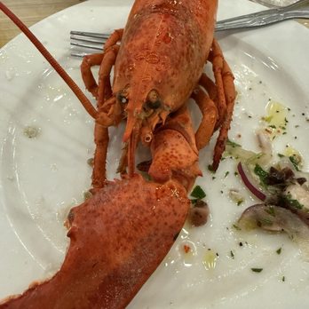 Boston Lobster Feast - Sad lobster - Seafood Near Me - Orlando, Florida
