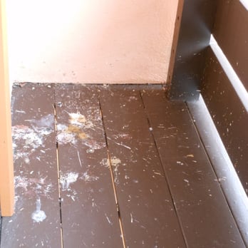 Monarch Resort - Encrusted Balcony Bird Poop - Hotels Near Me - Pacific Grove, California Monarch Resort - Encrusted Balcony Bird Poop - Hotels Near Me - Pacific Grove, California