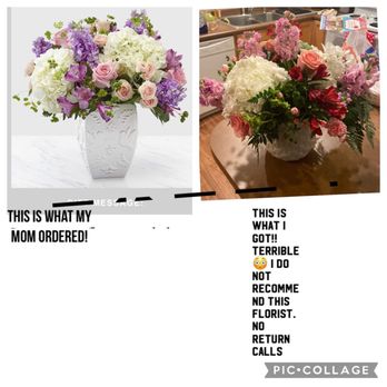 La Ocasion Flower Shop - The ones my mom ordered for me on the left. Their creation on the right with wilted flowers and so on. Picture explains it all. - Florists Near Me - Phoenix, Arizona La Ocasion Flower Shop - The ones my mom ordered for me on the left. Their creation on the right with wilted flowers and so on. Picture explains it all. - Florists Near Me - Phoenix, Arizona