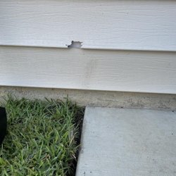 Earth Art Landscaping - Lawnmower or weed wicker damage to new construction home