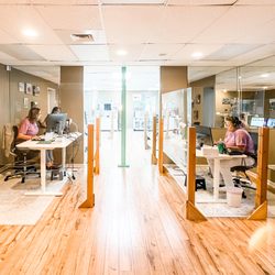 Noosa Pest Management