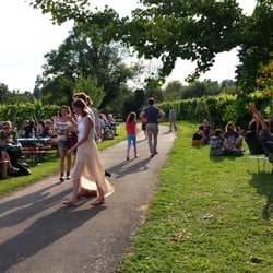 Heimspiel Knyphausen - Stimmungsbild in der Abendsonne 26.07.2014