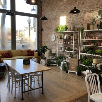 Paper City Coffee - a living room with a brick wall and lots of potted plants - Coffee & Tea Near Me - Chillicothe, Ohio Paper City Coffee - a living room with a brick wall and lots of potted plants - Coffee & Tea Near Me - Chillicothe, Ohio