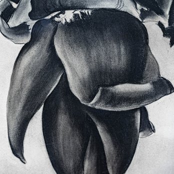 Albuquerque Museum - Albuquerque Museum - Art Museums Near Me - Albuquerque, New Mexico