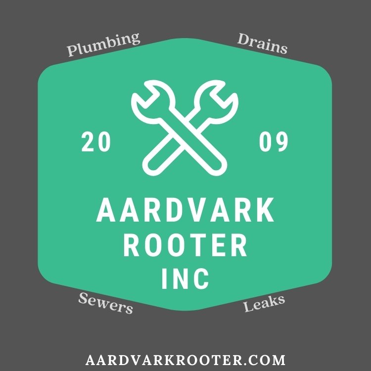 Slide of Aardvark Rooter