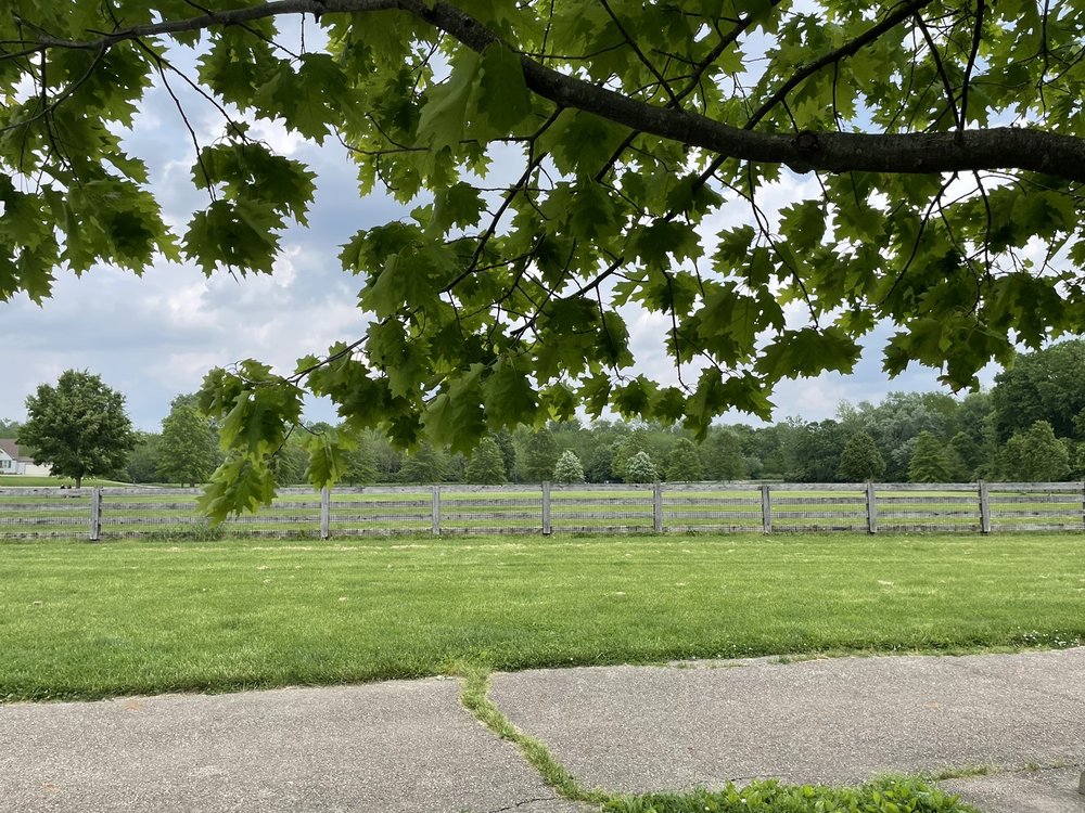 THREE CREEKS DOG PARK Updated August 2024 29 Photos 2748 Spangler