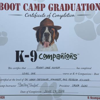 K9 Companions - Penny's certificate of completion for Level I training. - Pet Training Near Me - Perris, California K9 Companions - Penny's certificate of completion for Level I training. - Pet Training Near Me - Perris, California