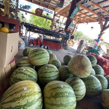 Juans Fruit Stand - Yellow watermelon - Fruits & Veggies Near Me - Raymondville, Texas Juans Fruit Stand - Yellow watermelon - Fruits & Veggies Near Me - Raymondville, Texas
