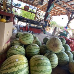 Yellow watermelon