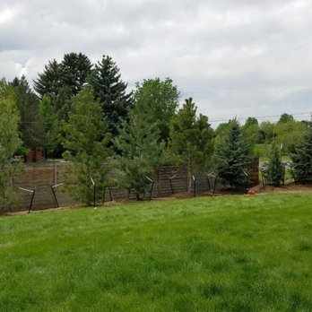 Absolute Property Improvement - After installing large mixture of trees - Landscaping Near Me Absolute Property Improvement - After installing large mixture of trees - Landscaping Near Me