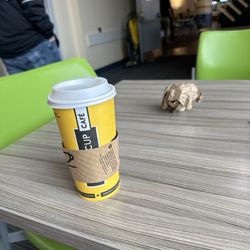 Second Cup - My Coffee