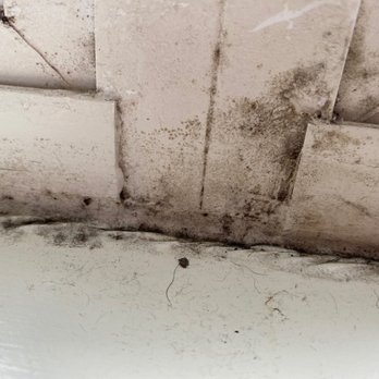 Gayton Pointe Townhomes - Black Mold - Apartments Near Me - Richmond, Virginia