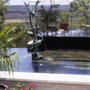 Pool Techs