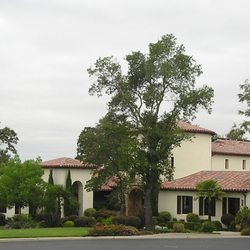 Bluestar Landscape Designers