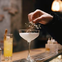 The Cocktail Camp
