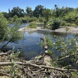 Sycamore Island - The state needs to fund our state parks more and get this cleaned up.