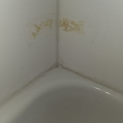 Radisson Hotel Sharon - Nasty walls