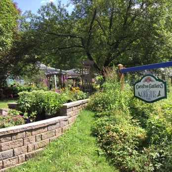 Origins Cafe - View from the road - Cafes Near Me - Cooperstown, New York