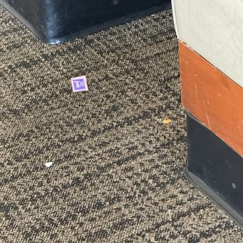 Panera Bread - More trash - Sandwiches Near Me - Port Charlotte, Florida Panera Bread - More trash - Sandwiches Near Me - Port Charlotte, Florida