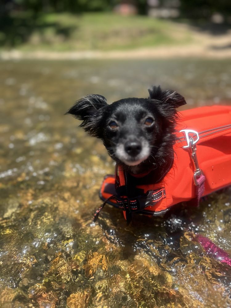 RIVERSIDE RESORT Updated September 2024 27 Photos & 14 Reviews