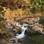 Photo of Burden Pond Preserve