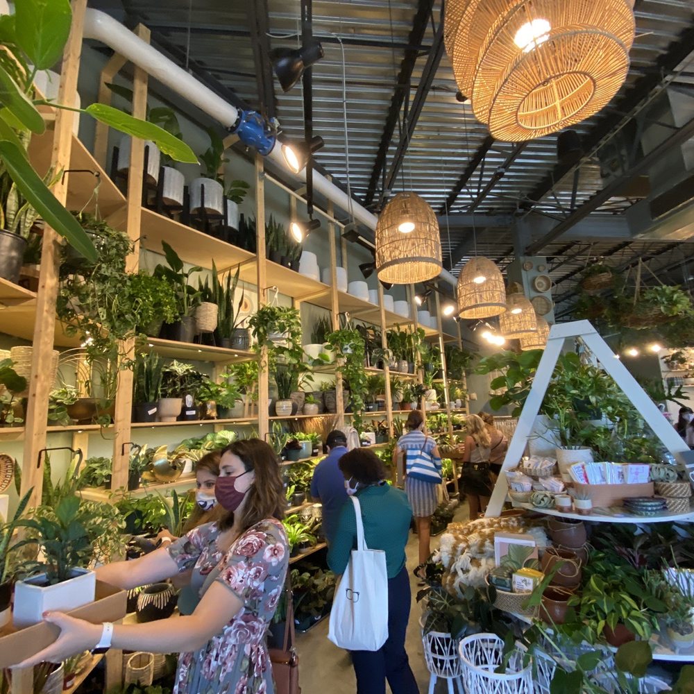 PlantHouse - Nurseries & Gardening Near Me - Charlotte, North Carolina