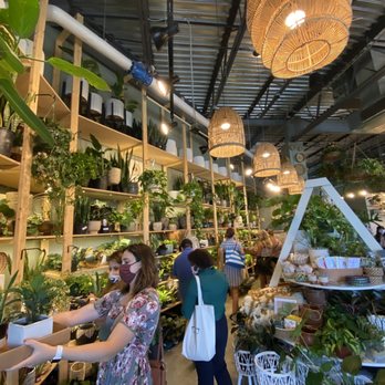 PlantHouse - Nurseries & Gardening Near Me - Charlotte, North Carolina PlantHouse - Nurseries & Gardening Near Me - Charlotte, North Carolina