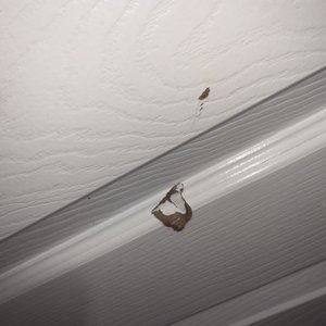 Motel Harris on Yelp