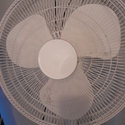 The fan with mold and dirt