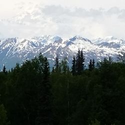 Travel Leaders/Suncoast Travel - Beautiful Alaska!