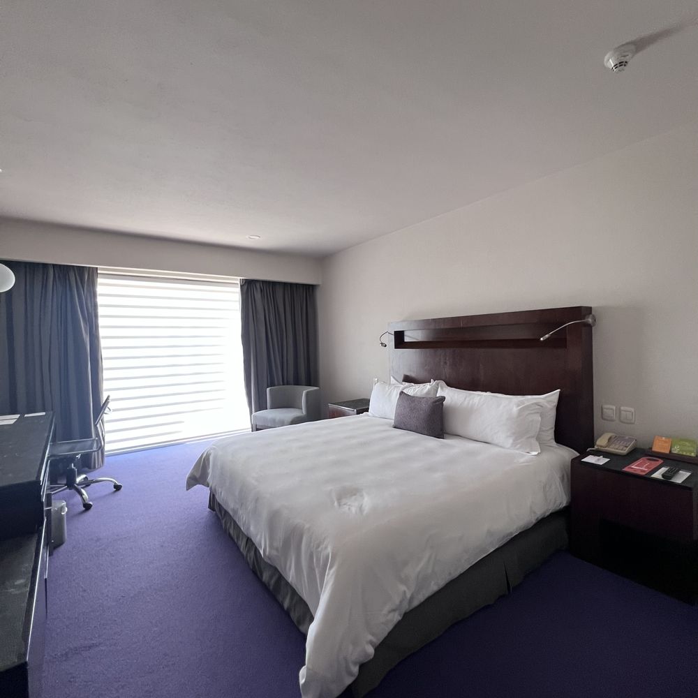 Camino Real Pedregal