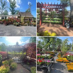 Baumley Nursery Landscaping & Garden Center - Some of the plants available, and the gazebo.