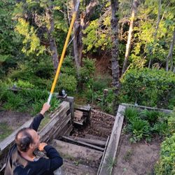 Boss Tree Service