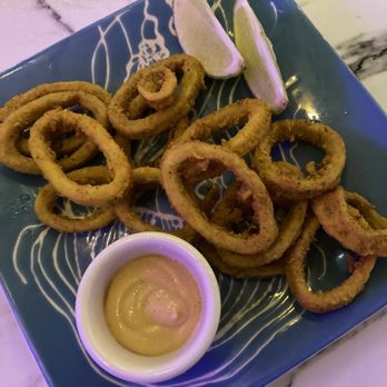 Garden House Latin Restaurant - calamari - Colombian Near Me - Miami Beach, Florida Garden House Latin Restaurant - calamari - Colombian Near Me - Miami Beach, Florida
